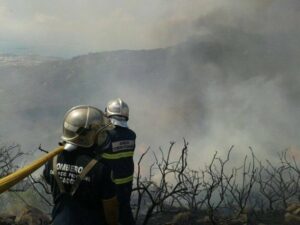 El incendio en Sierra Carbonera podría haberse originado por negligencia de un motorista