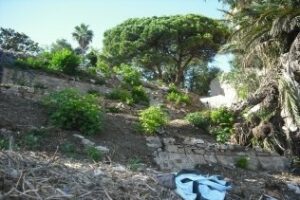 IU quiere saber que ha pasado con la prometida rosaleda en el talud junto al Hotel Cristina