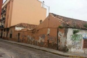 El control de la recogida de excrementos en la vía pública se mantendrá en el tiempo