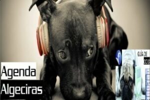 Actividades previstas por la Delegación de Cultura para la próxima semana| 09Mar