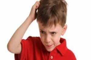 Otro centro educativo de Jerez suspenderá clases por la plaga de pulgas