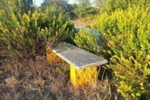 ¡Arreglo ya! Parque Torrejón (Carta de la Asociación de Vecinos El Embarcadero)