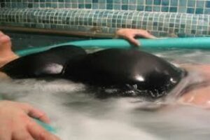 Llega a la comarca la educación maternal en el agua