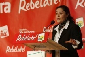 IU critica la "descoordinación evidente" del equipo de gobierno