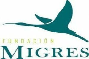 Preguntas incómodas:¿Tráfico de influencias en la Punta del Camorro?