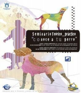Cultura organiza para el 29 de noviembre el seminario Conoce a tu perro"