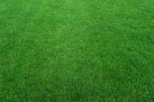 Parques y Jardines continúa trabajando para adaptar las zonas infantiles a la nueva normativa europea