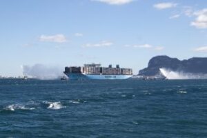 Maersk Line se renueva con otros 14.800 contenedores