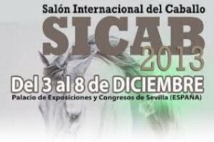 SICAB en el móvil de la mano de Bluumi