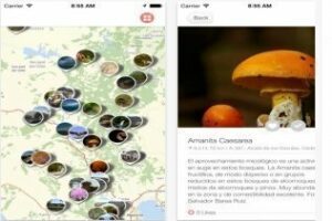 Descubre en tu móvil (APP) todos los secretos del Parque Natural Los Alcornocales