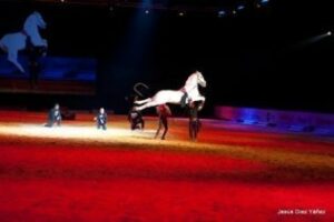 La APP del SICAP desarrollada por Bluumi un éxito en descagas y usabilidad