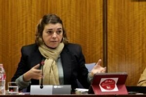 El Parlamento aprueba, por unanimidad apoyar el Acuerdo de Antequera"