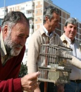 PSOE impulsa en las instituciones el respaldo a la práctica del silvestrismo de gran arraigo en la provincia