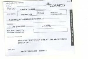 PSOE exige la dimisión de Patricia Cardoso por el cúmulo de irregularidades cometidas