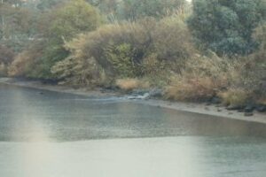 Finalizan las labores de limpieza de los arroyos tras el vertido de lixiviados de Urbaser en Los Barrios