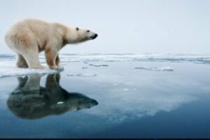 La temperatura subirá 4 ºC en 2100