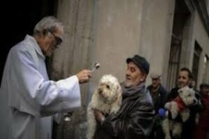 San Antón bendicirá a las mascotas en Algeciras el próximo 17