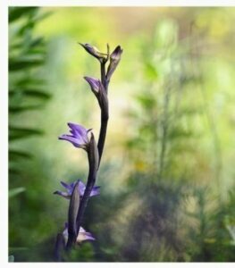 ¿Planes para el fin de semana?