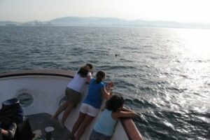 Más de 3.000 escolares de la comarca participarán en Conoce tu Museo, Conoce tu Puerto"