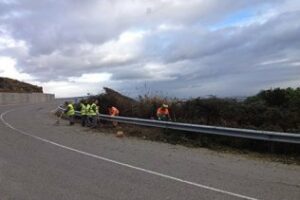 Parques y Jardines comienza el desbroce de los márgenes de la Carretera al Faro