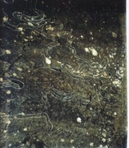 Nota de prensa de la Asociación La Trocha