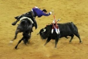 Más de 109.000 espectadores asistieron a los espectáculos taurinos de la provincia durante 2014