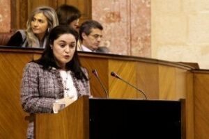 IU lleva al pleno del parlamento la preocupación comarcal por el PITVI