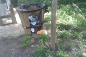 IU denuncia "la dejadez" del Parque fluvial del río Pícaro