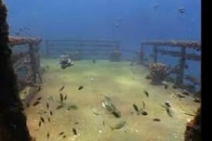 Naufragios y pecios en la bahía de Algeciras" en "Aula abierta"