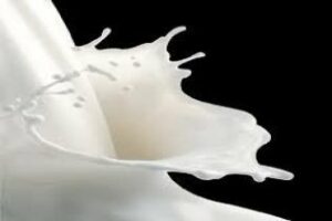 Salud: La leche, ¿alimento imprescindible o veneno?