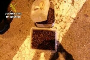 Intervenido hachís en garrafas de aceitunas