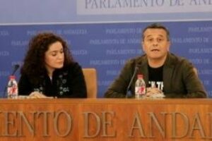 El grupo parlamentario de IU hace suyas las alegaciones de la plataforma al PITVI