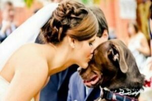 Absurdas: Una mujer quiere casarse con su perro