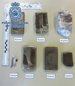 Incautadas más de dos toneladas de hachís en una finca de La Línea