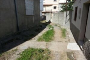 Vecinos inician una campaña denominada "Landaluce, el Acebuchal también existe"