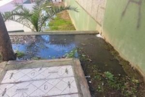 El PA pide a Landaluce que se interese "por los escapes fecales de la Reconquista"