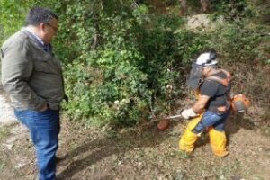 El Subdelegado visita trabajos del Plan de choque forestal en montes de Algecira
