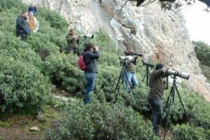 El Festival de Las Migraciones llega a su fin