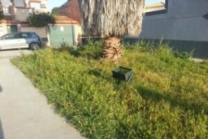 Asociación de Vecinos El Embarcadero solicita que se adecente la calle Gorrión