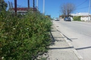 La AAVV embarcadero denuncia "dejadez"