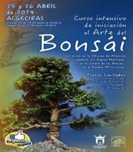 Los dias 25 y 26 de abril se impartirán en el parque cursos de iniciación al arte de los Bonsáis