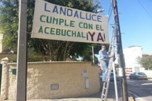 El que se pica Landaluce cumple con El Acebuchal ¡Ya! Por Antonio Rodríguez