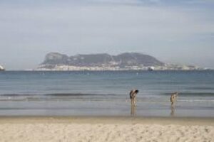 Segundo Ávila, ha asegurado que las playas de Algeciras estarán en perfecto estado