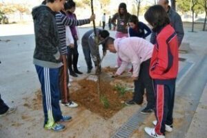 Medio ambiente colabora en una plantación de árboles del colegio Campo de Gibraltar