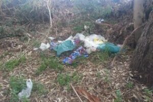 Asociación de Vecinos El Embarcadero demanda limpieza