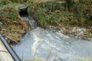 Ecologistas piden a la Junta que ofrezca los resultados de sus analíticas en Gamasur