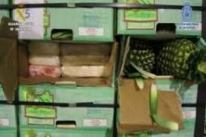 La estrella y a la vez petardo: Las piñas con los 2.515 kilos de cocaína