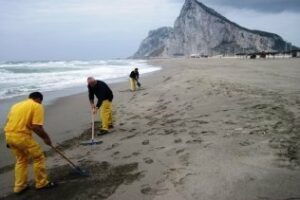 El temporal de levante lleva medusas a las playas de Santa Bárbara en La Línea y El Rinconcillo en Algeciras