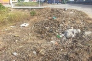 Solicitan el adecentamiento de un solar propiedad municipal