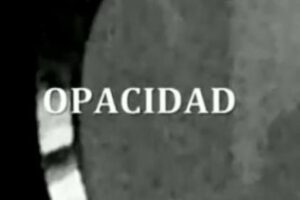 Incómodas: Algeciras, líder en opacidad municipal...pensemos